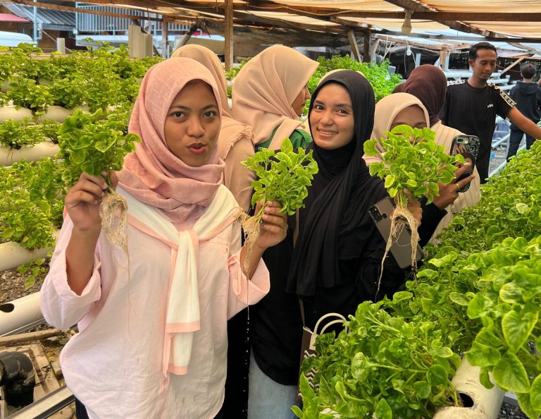 Penguatan Kompetensi Mahasiswa Pertanian UNIKI Bireuen melalui Pelatihan Hidroponik Berbasis Kerja Sama Industri