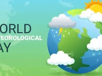 Hari Meteorologi Internasional 23 Maret dan Peran Pentingnya di Indonesia