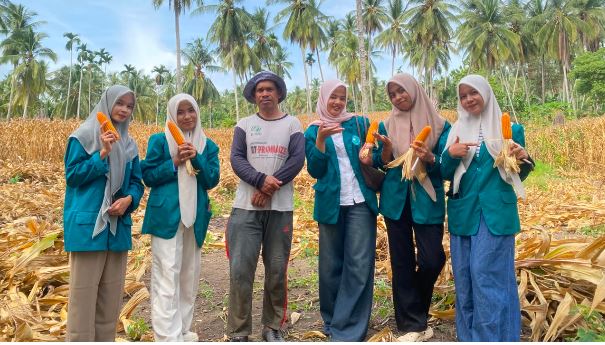 Dekan FAPERTA Bentuk Tim Khusus, Mahasiswa Pertanian UNIKI Petakan Komoditas Jagung di Kabupaten Bireuen.