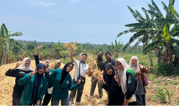 Kolaborasi Dosen FAPERTA UNIKI Bireuen Dorong Limbah Pertanian Jadi Pakan Alternatif Ternak, Kembangkan Inovasi Berbasis Potensi Lokal